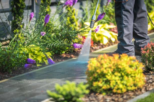 Best Roof Washing  in Allegan, MI