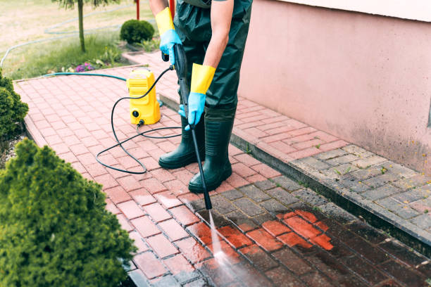 Best House Exterior Washing  in Allegan, MI