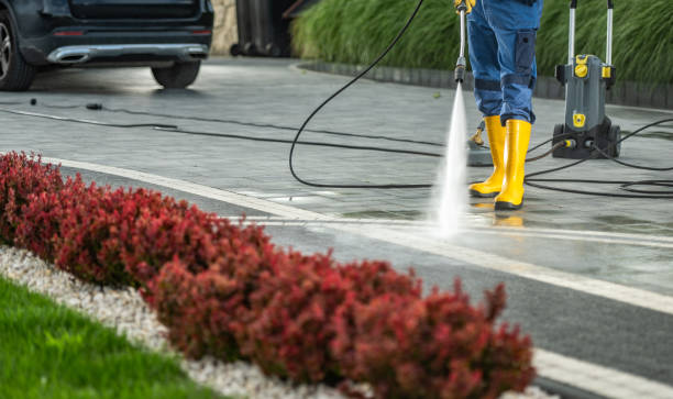 Best Graffiti Removal  in Allegan, MI